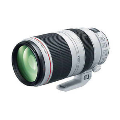 Lente Canon EF – 100-400mm f/4.5-5.6L + UV Filter